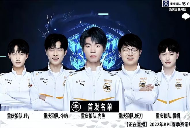 率与转化率 率与转化率